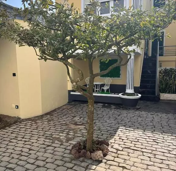 Azor International Hostel