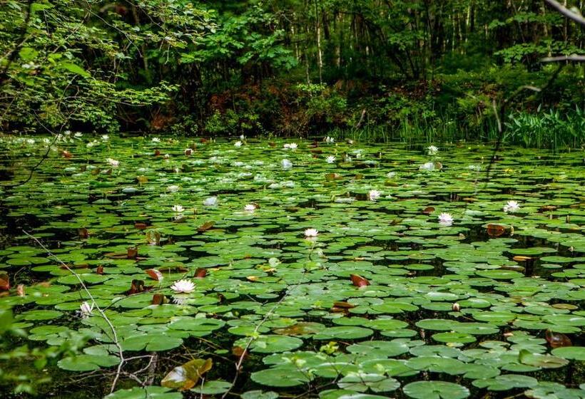 مبيت وإفطار The Tartan Fox At The Meadmere