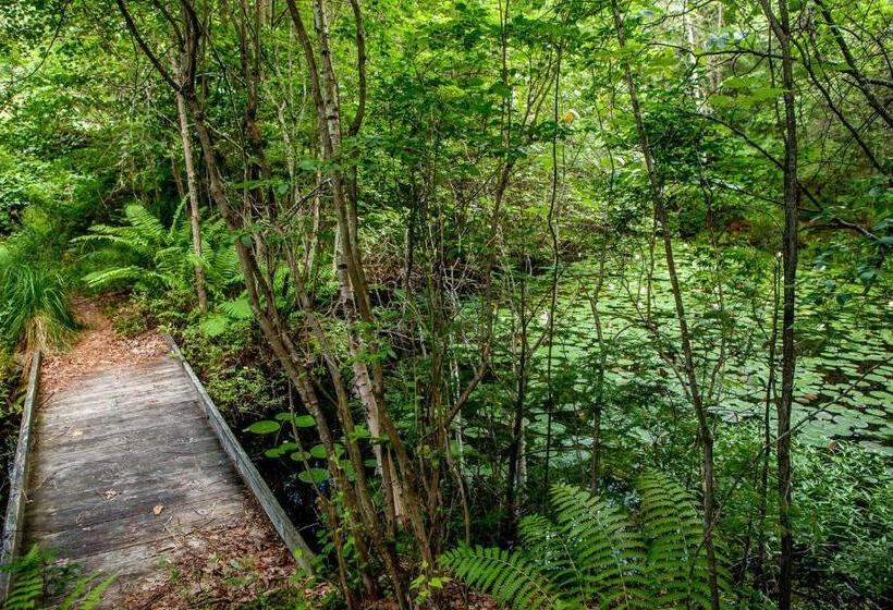 مبيت وإفطار The Tartan Fox At The Meadmere