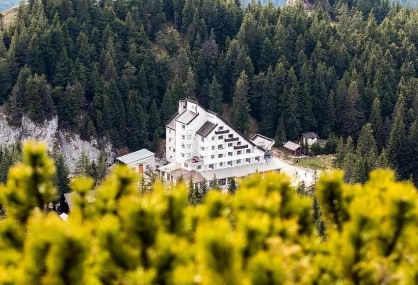 ホテル Alpin Rarău