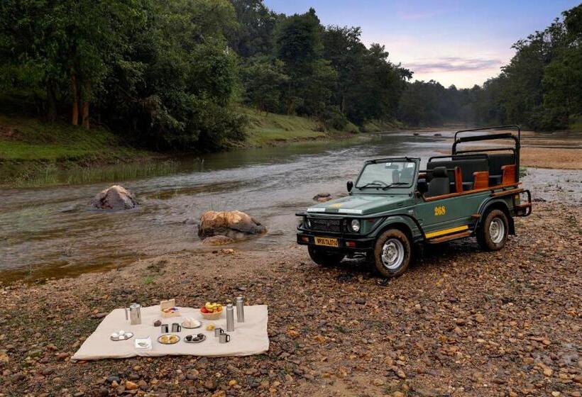 Отель Lemon Tree Wildlife Resort, Kanha
