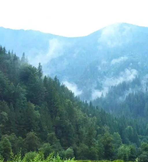 Majatalo Cabana Plapumioara