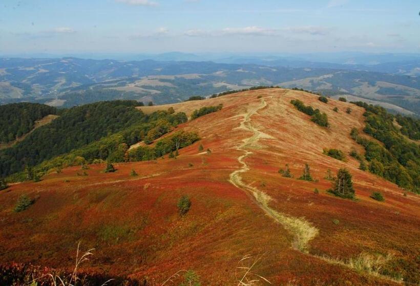 膳宿费 Grün Hof Militray Sadyba