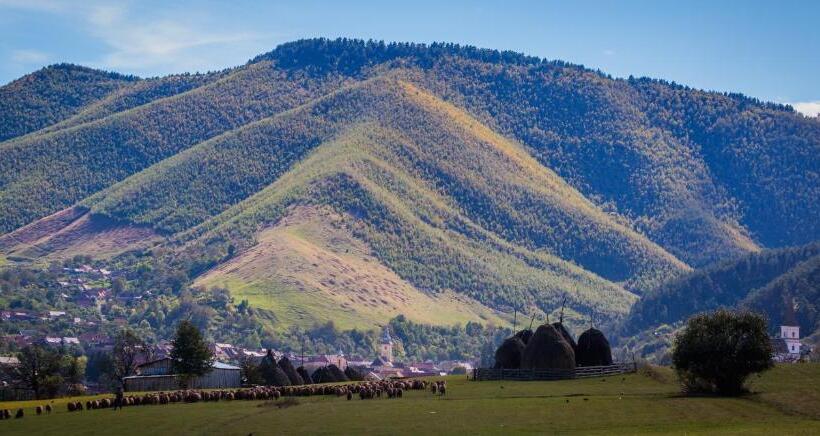 פנסיון Picturesque Village In Transylvania
