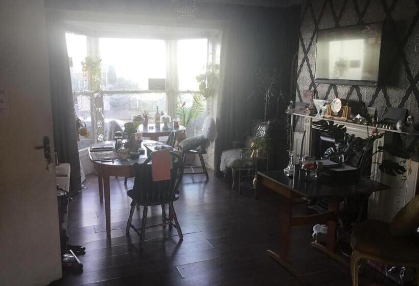 بنسيون The Bay Rooms Only