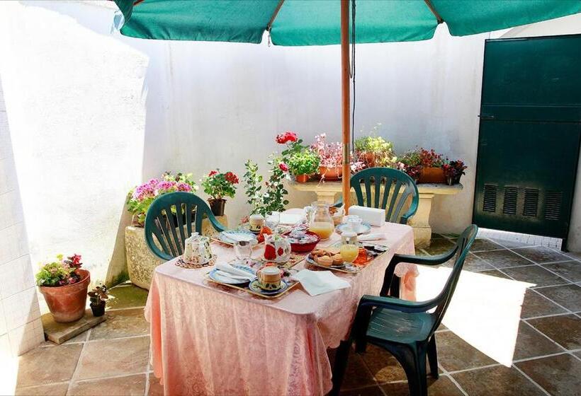 Spiti Bed & Breakfast