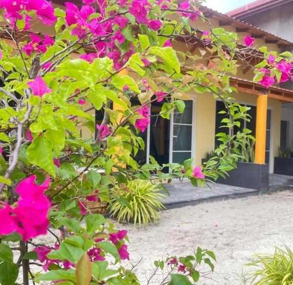 هتل Thoddoo Island Holiday Inn