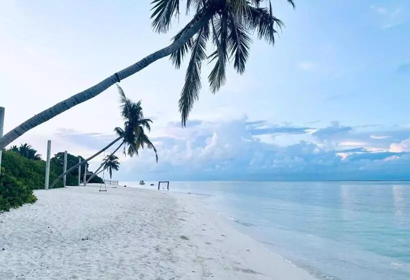 هتل Thoddoo Island Holiday Inn