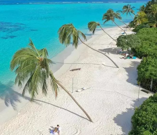 هتل Thoddoo Island Holiday Inn