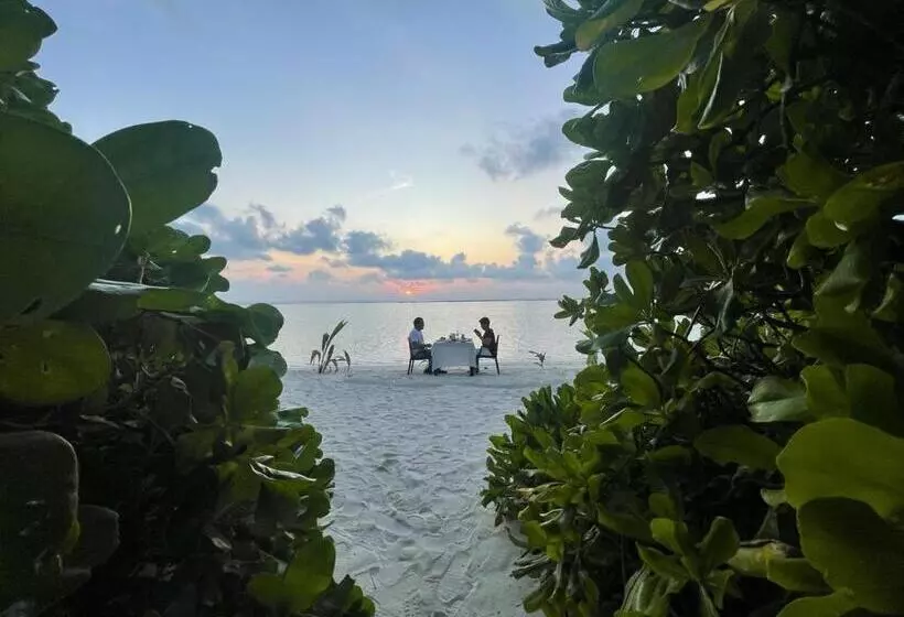 هتل Thoddoo Island Holiday Inn