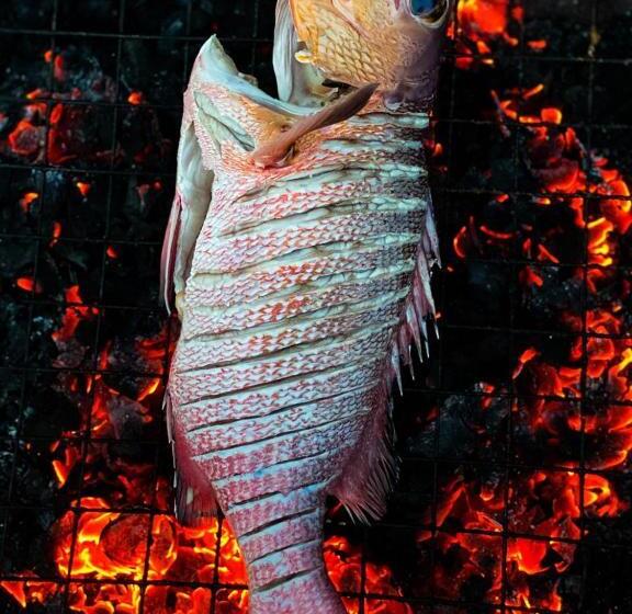 هتل Thoddoo Island Holiday Inn