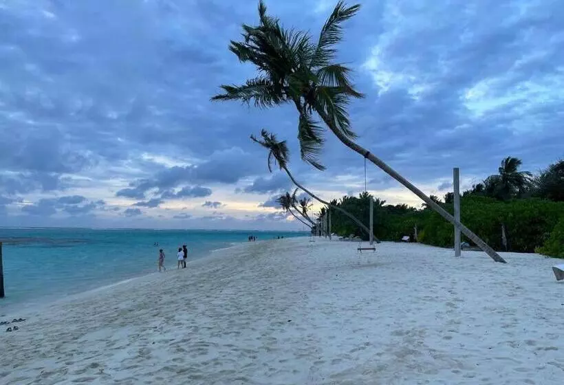 هتل Thoddoo Island Holiday Inn