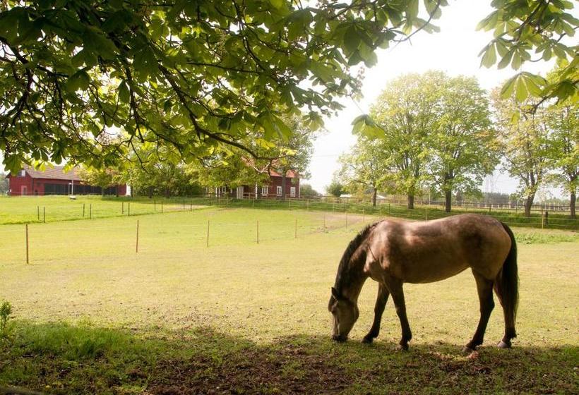 ベッドアンドブレックファースト Ekeby I Bro