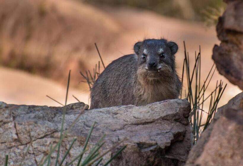 צימר Heidelberg Kloof Lodge
