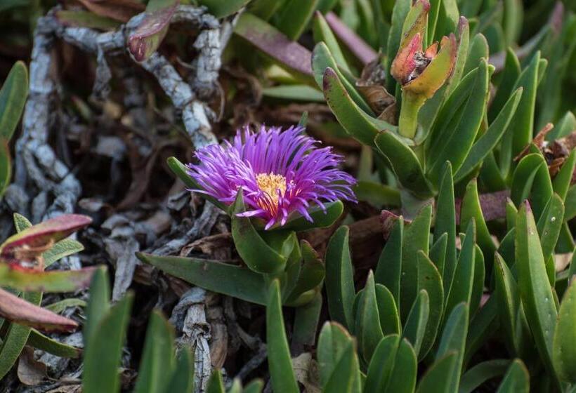 צימר Heidelberg Kloof Lodge