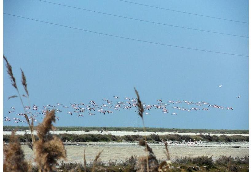 צימר Rooms La Perla Del Mare