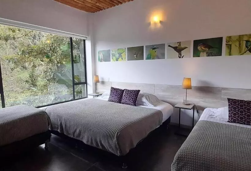 هتل Termales Tierra Viva