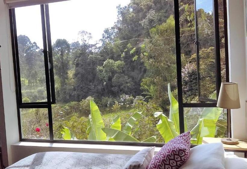 Hotel Termales Tierra Viva