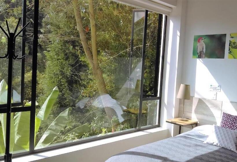 Hotel Termales Tierra Viva