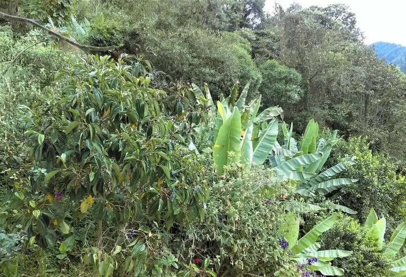 هتل Termales Tierra Viva