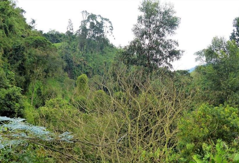 Hotel Termales Tierra Viva