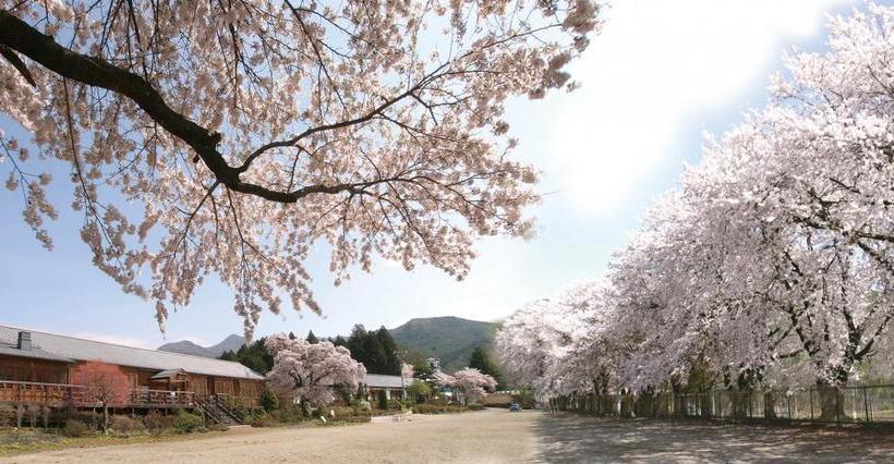 ريوكان Oishi Gakko