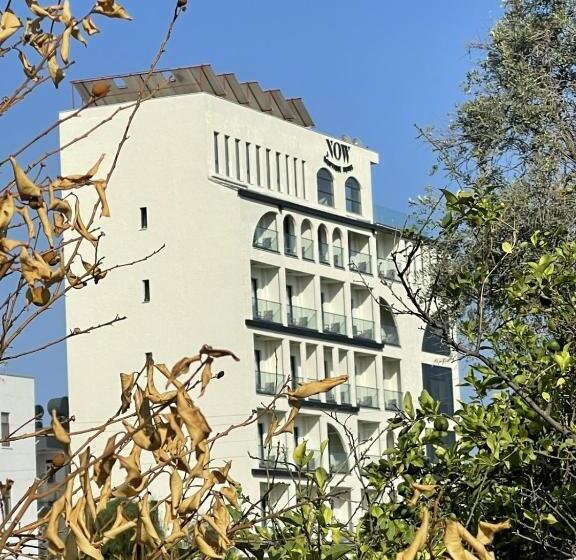 בית מלון כפרי Now Boutique