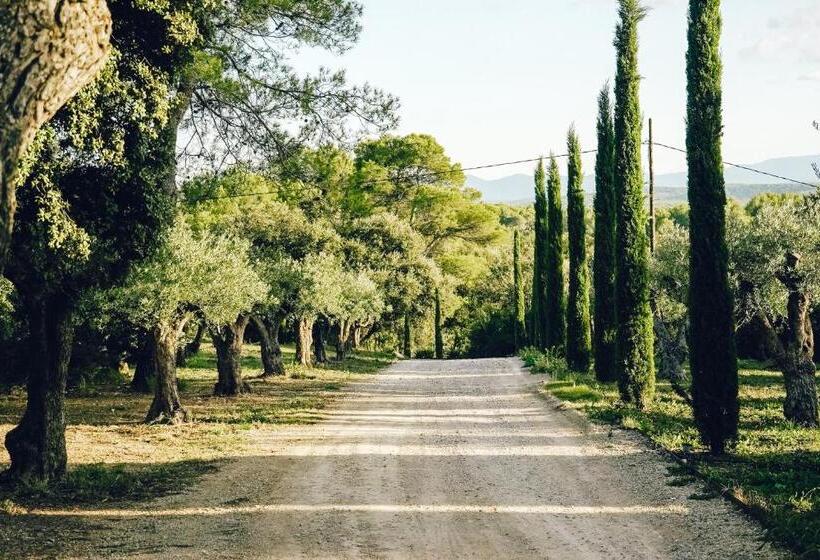 住宿加早餐  Domaine Monte Verdi