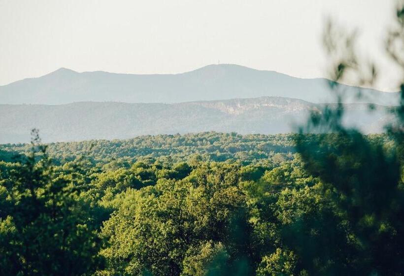 住宿加早餐  Domaine Monte Verdi