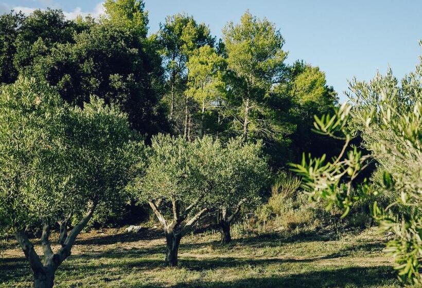 住宿加早餐  Domaine Monte Verdi