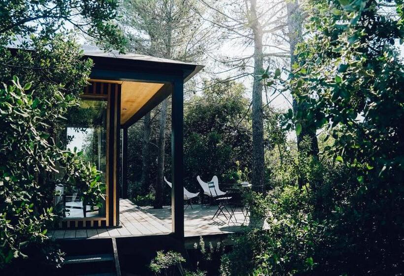 住宿加早餐  Domaine Monte Verdi