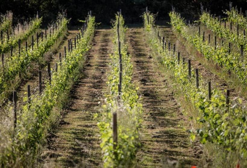 住宿加早餐  Domaine Monte Verdi