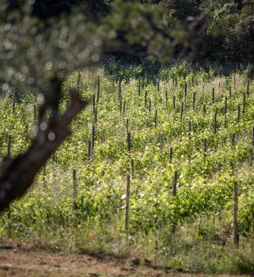 住宿加早餐  Domaine Monte Verdi