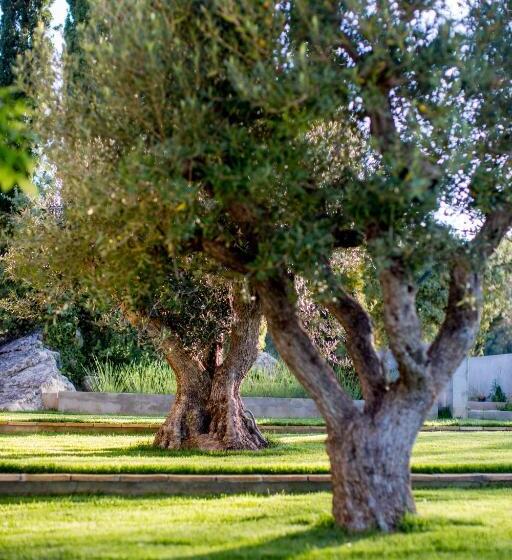 住宿加早餐  Domaine Monte Verdi