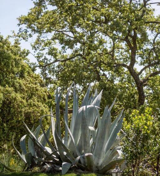 住宿加早餐  Domaine Monte Verdi