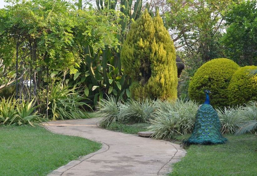 هتل The Riverside