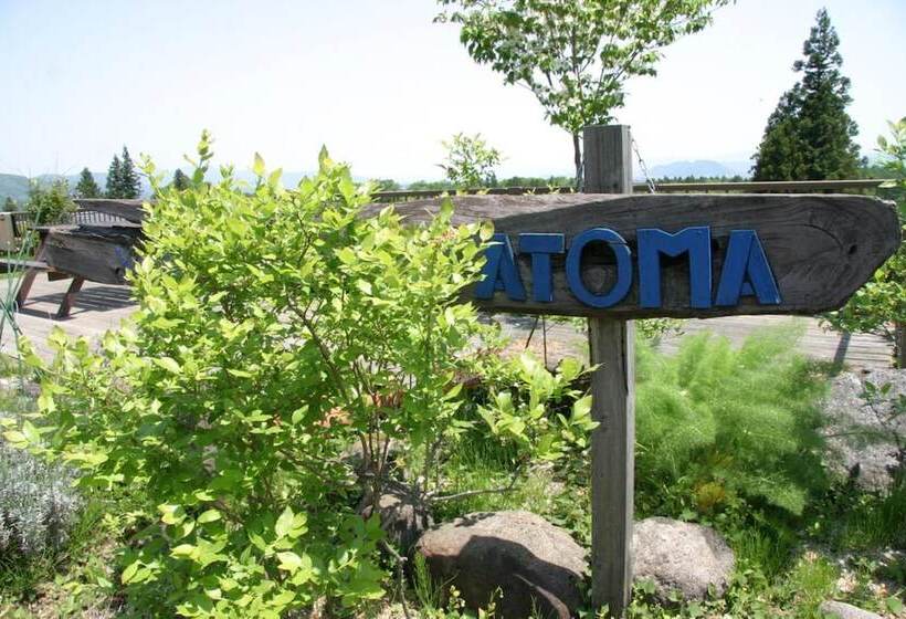 Youth Guest House Atoma   Hostel