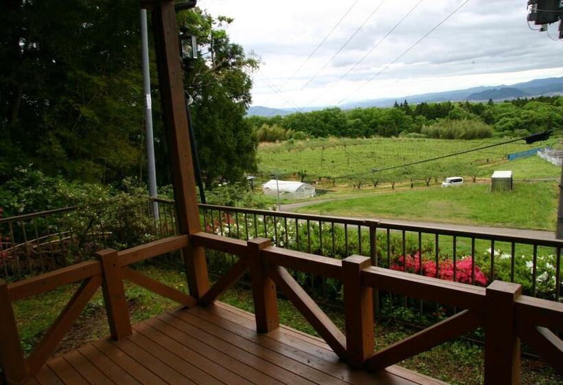 Youth Guest House Atoma   Hostel