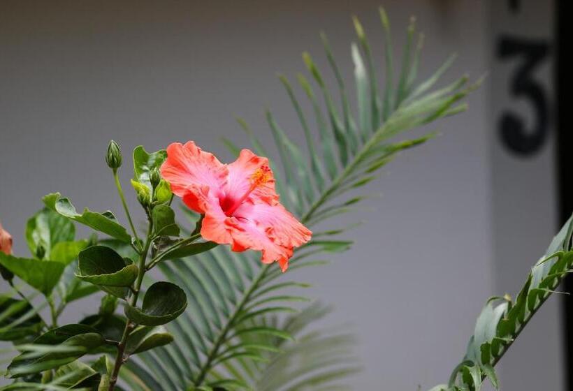 민박 Sibsons House