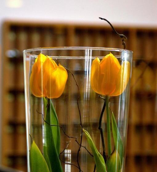 فندق Bildungshaus St. Hippolyt