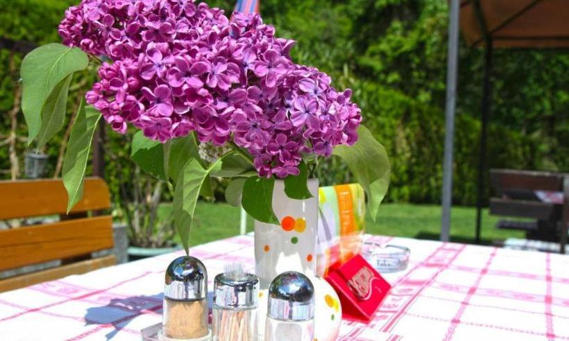 호텔 Gasthof Herlwirt