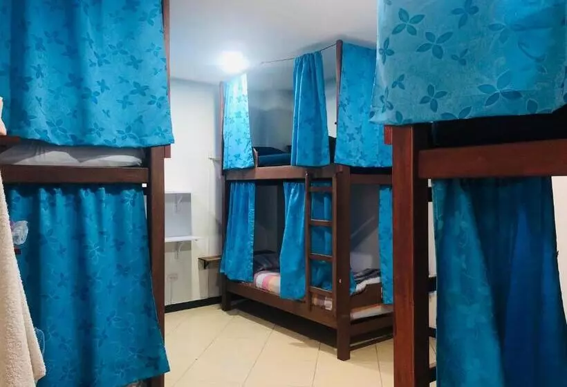 Lake View Hostel