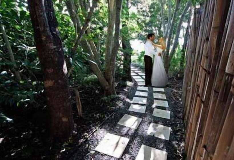 汽车旅馆  Maleny Terrace Cottages