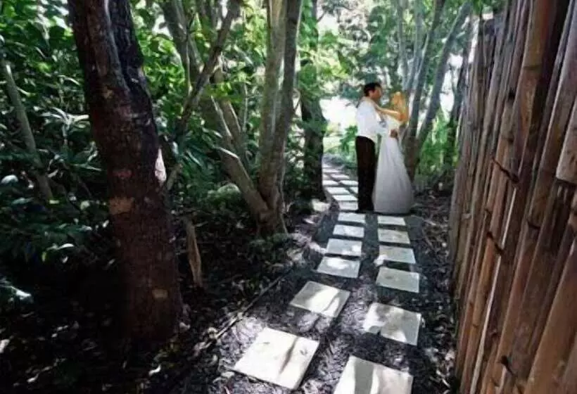 モーテル Maleny Terrace Cottages
