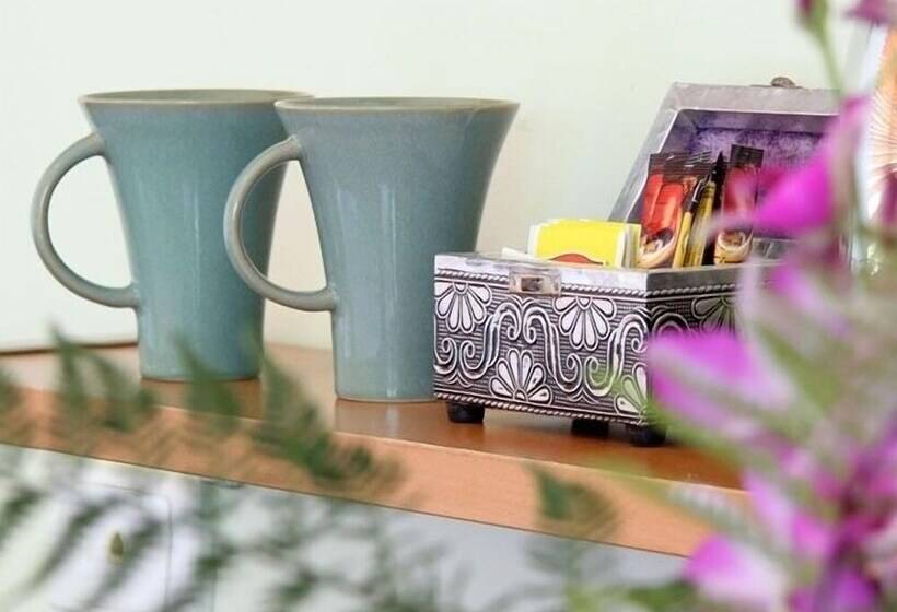 汽车旅馆  Maleny Terrace Cottages