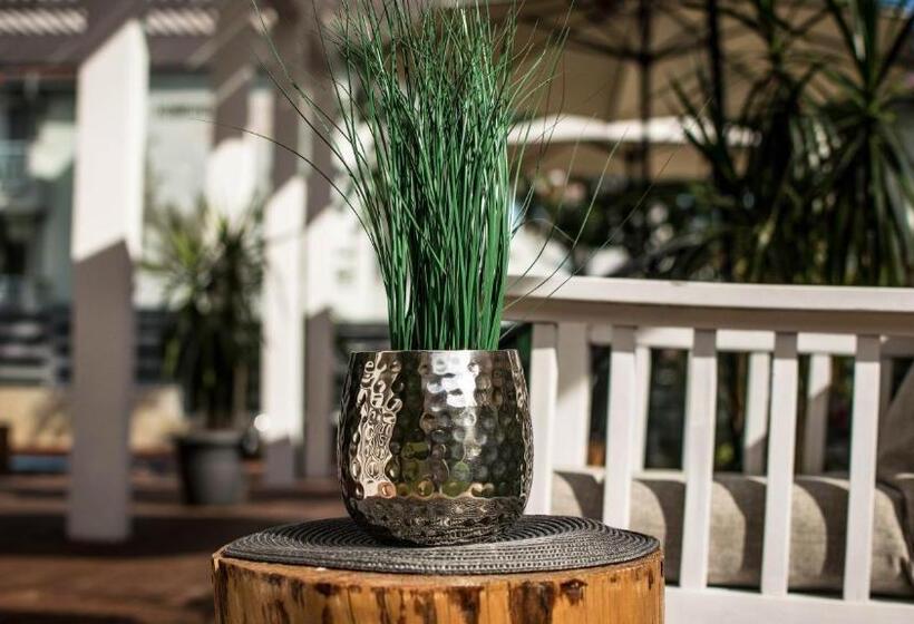 فندق The Mint Villa   Saint Vlas