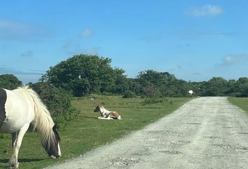 田舎風ホテル Farmhouse Annexe With Home Cooked Breakfast