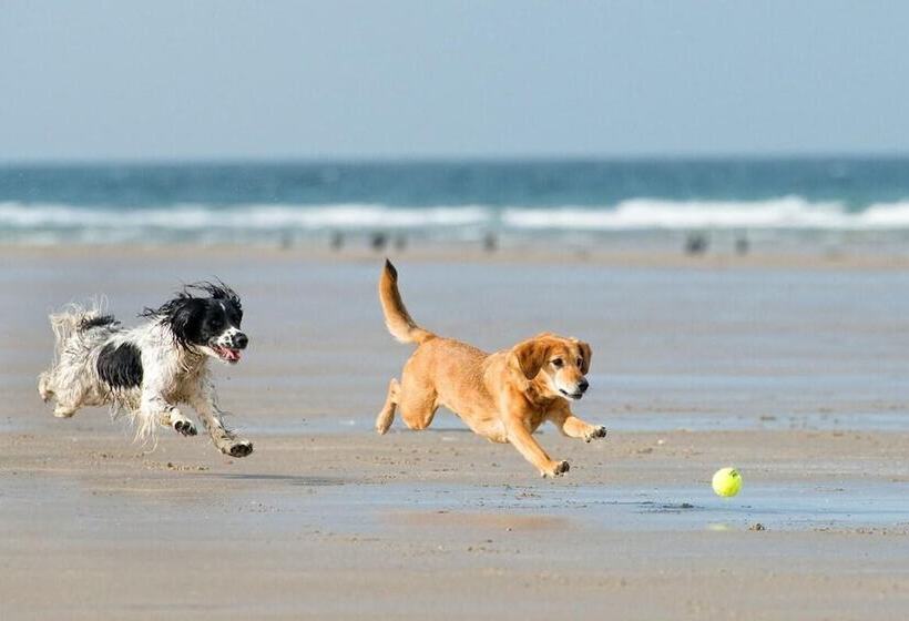 דירת נופש Beautiful 5 Bedroom Regency House / Pets Welcome