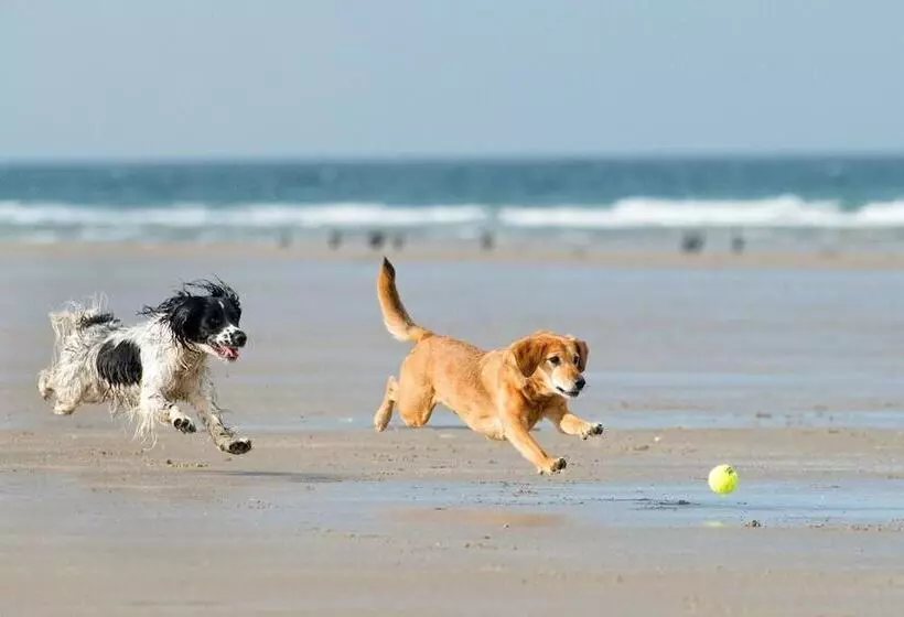 Residenssi Beautiful 5 Bedroom Regency House / Pets Welcome