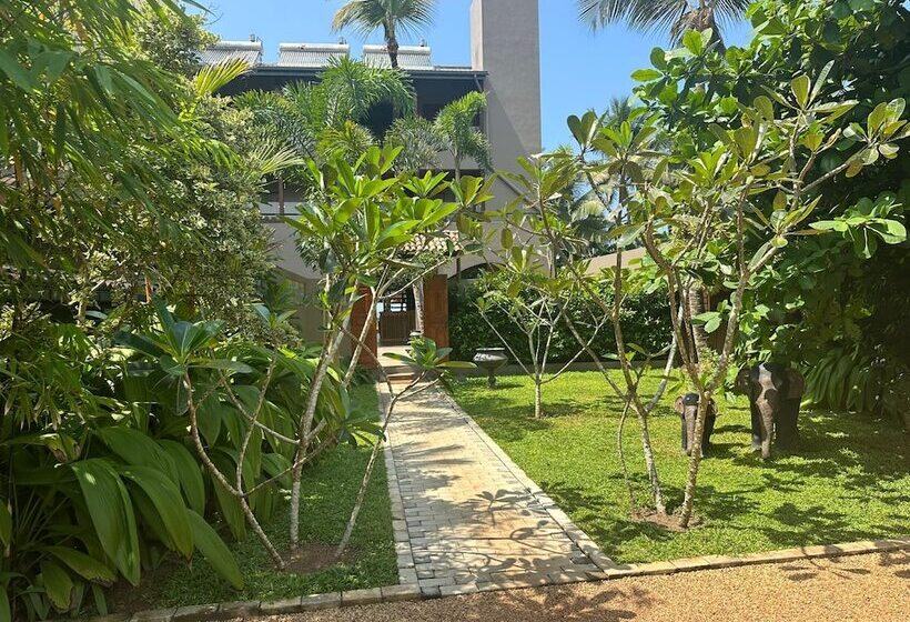 Bk Beach Boutique Hotel Hikkaduwa